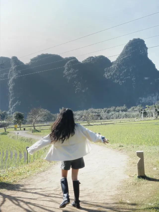 來崇左,是意外之喜 來崇左,是意外之喜