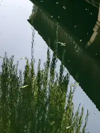 看我用手機記錄鹽官最濃的秋色附機位版