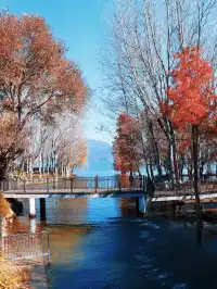 大理旅行 ｜龍龕碼頭入口這個機位太美了吧