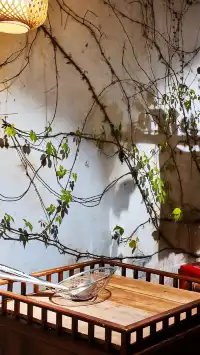 嘉興不要只去烏鎮啦!!這個古鎮人少景美