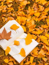 12.3的東湖殺瘋了!分享一條油畫感騎行路線