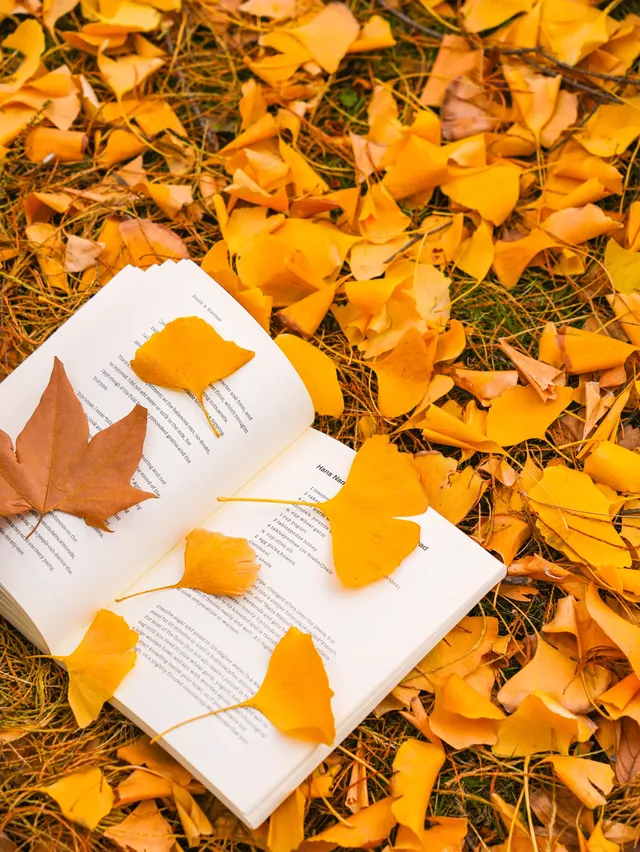 12.3的東湖殺瘋了!分享一條油畫感騎行路線 12.3的東湖殺瘋了!分享一條油畫感騎行路線