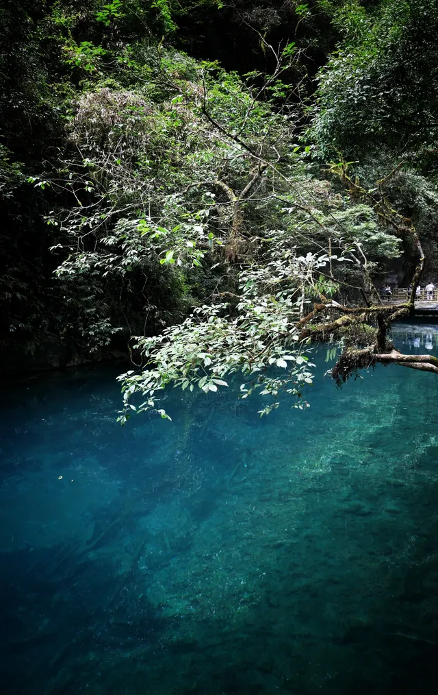 恩施屏山峽谷·自駕山水行攝攻略