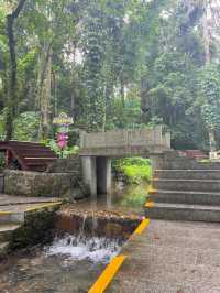 惠州羅浮山|登高尋訪葛洪跡 觀瀑聽泉洗塵心