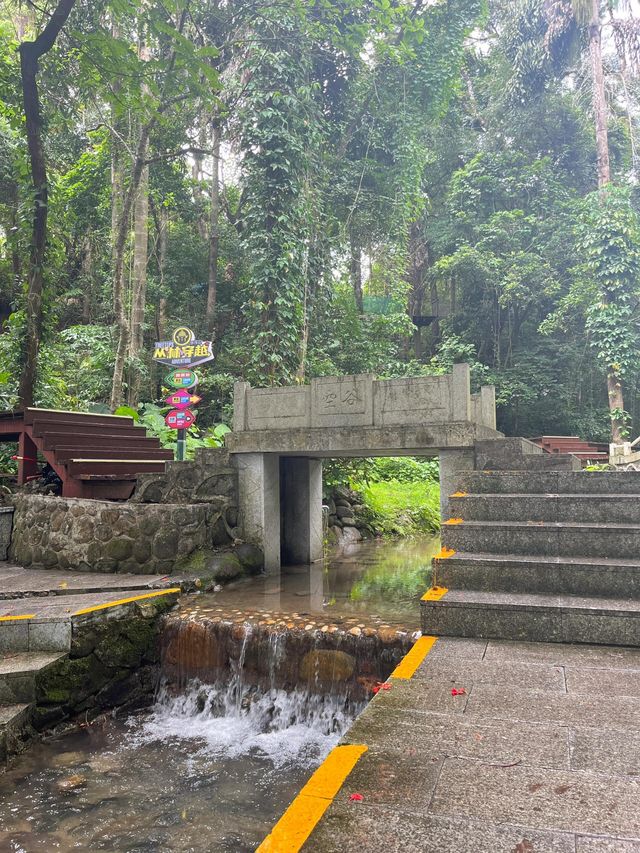 惠州羅浮山|登高尋訪葛洪跡 觀瀑聽泉洗塵心 惠州羅浮山|登高尋訪葛洪跡 觀瀑聽泉洗塵心