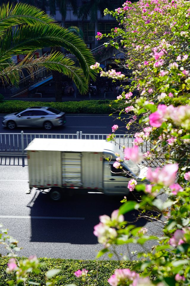 逃離城市喧囂廈門這條山海步道真的封神了
