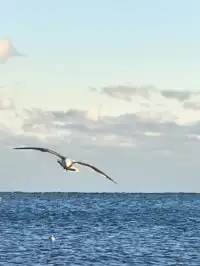 大連傅家莊的落日熔金