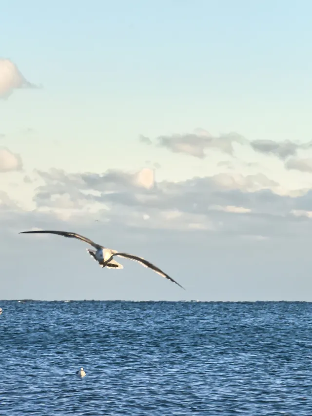大連傅家莊的落日熔金 大連傅家莊的落日熔金