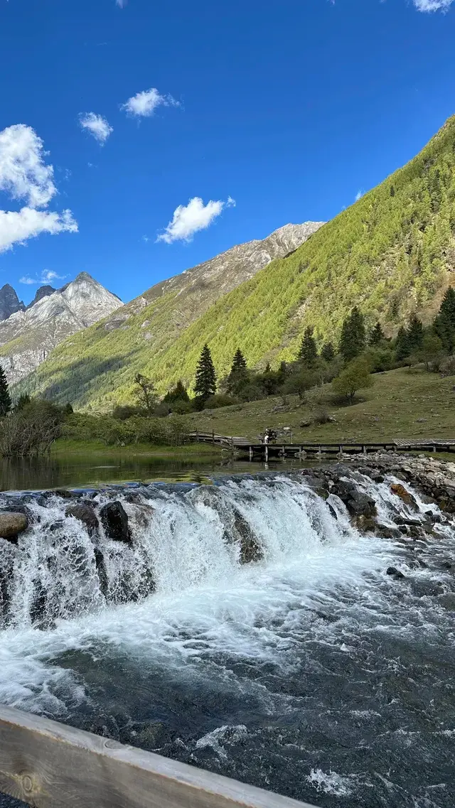 不上班後 人生都明媚了
