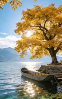 漁家茶席非遺體驗