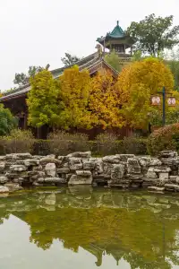 忻州秀容書院｜閱青瓦長卷，得半日秋閒