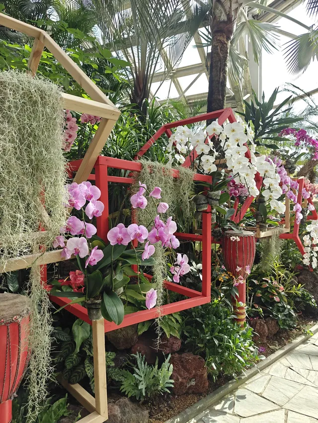上海植物園一日遊 上海植物園一日遊