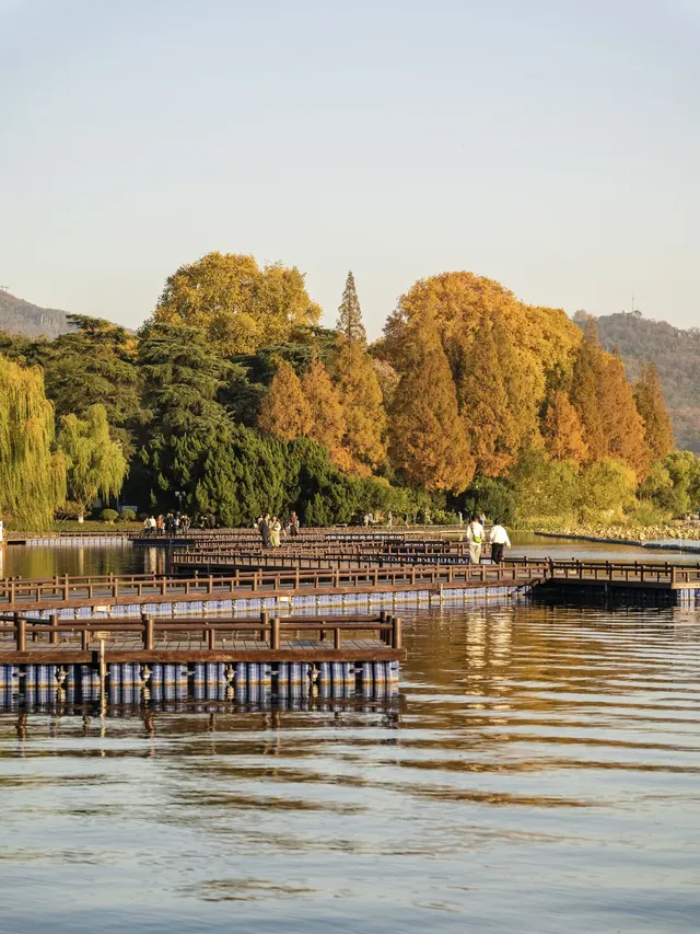 玄武湖|秋日序章 玄武湖|秋日序章