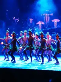 張家界三天兩晚|千古情直接看呆!