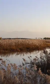 我心目中西安排名第二的免費公園