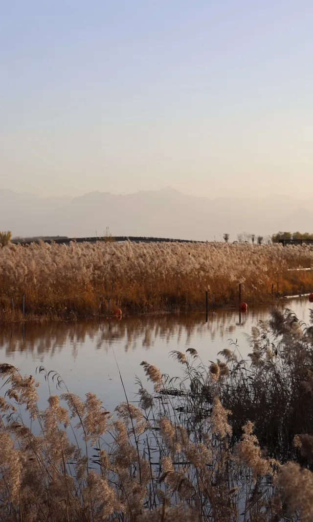 我心目中西安排名第二的免費公園