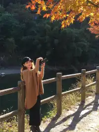 真的不是在京都!就在福州…