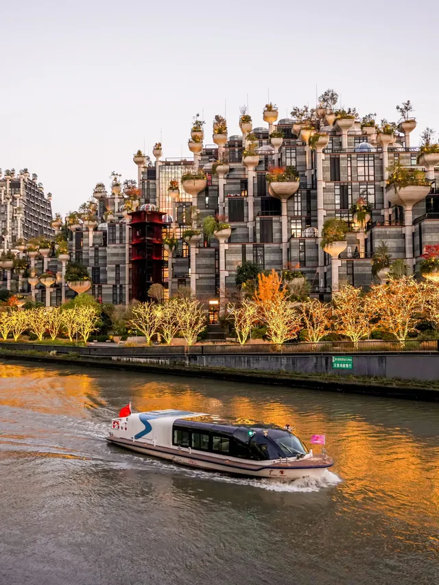 千樹最佳拍照打卡路線來了! 千樹最佳拍照打卡路線來了!