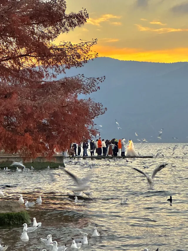 大理!!拍照打卡一定不要錯過的地方!吼吼看 大理!!拍照打卡一定不要錯過的地方!吼吼看