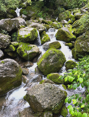 青城山前山·老君阁云海日出 参考图 6