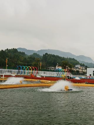 Hidden gem in Taiping Town, Shawan: Caviar & Seafood Paradise