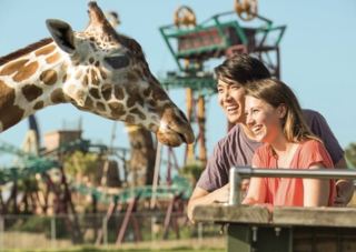 Busch Gardens Play Guide