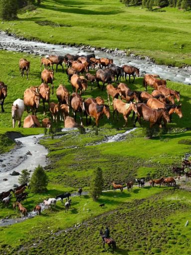 遊牧の生活をキルギスで馬に乗って草原を横断 | Trip.com キルギス