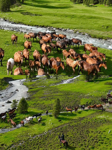 遊牧の生活をキルギスで馬に乗って草原を横断 | Trip.com キルギス