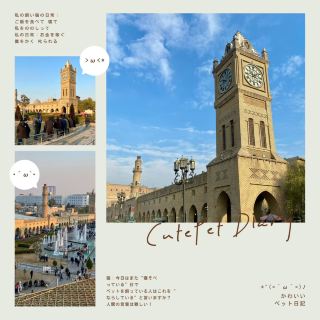 エルビル旧市街旅行ガイド