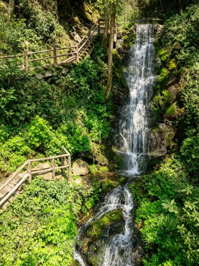 Hangzhou's Top Spring Hiking Trail｜From Jiuxi to Longjing Village, Step on the Spring Scenery of Jiangnan