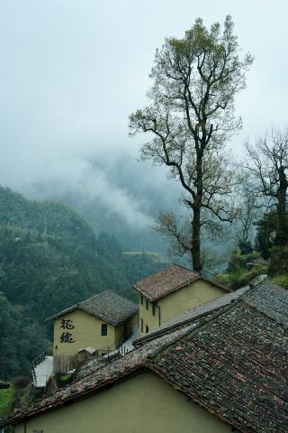 National Geographic didn't lie to me, Songyang is truly a treasure trove and a healing place.