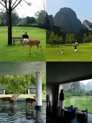 Yangshuo staycation: stay in an ideal home surrounded by nature