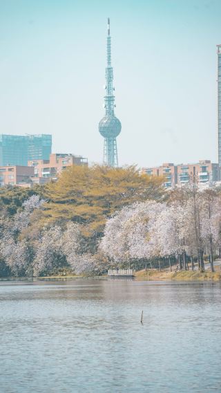 Picturesque hidden moments on a lakeside bench in Foshan