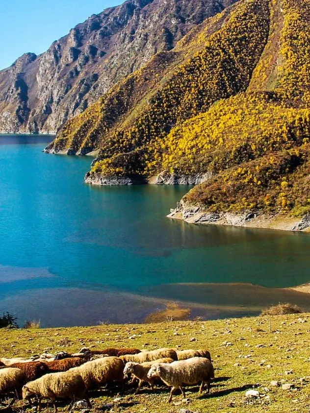 2-Day Gannan Yeliguan Getaway