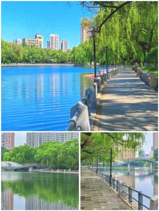 Nanhu Park, Shenyang: A Slow Afternoon in the Middle of the City
