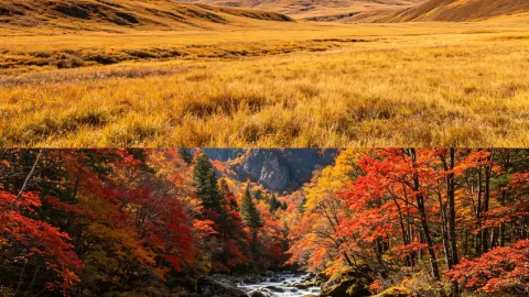 Oct 12: I arrived at Changbai Mountain and realized how poorly I packed. — traveler post in Yanbian