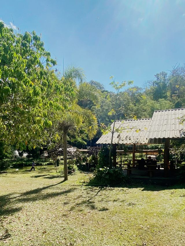 ดื่มน้ำองุ่นผลสดปั่น สดชื่นสุดๆ | สวนองุ่นนิศาชล