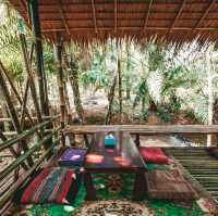 ร้านอาหารริมคลอง สัมผัสใกล้ชิดธรรมชาติในพังงา