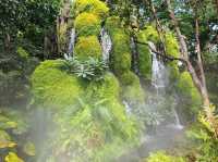 คาเฟ่สไตล์ป่าดงดิบที่เมืองเชียงใหม่