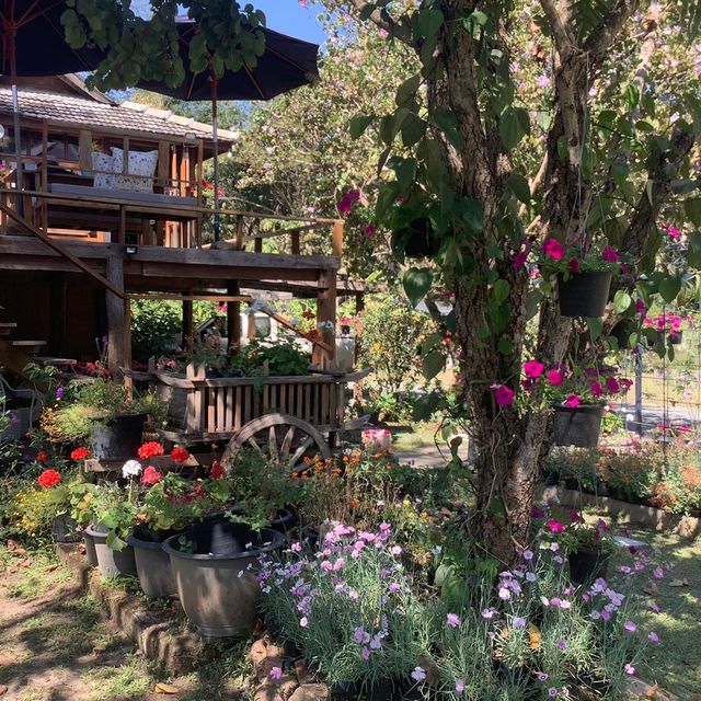 Bee & Rose café