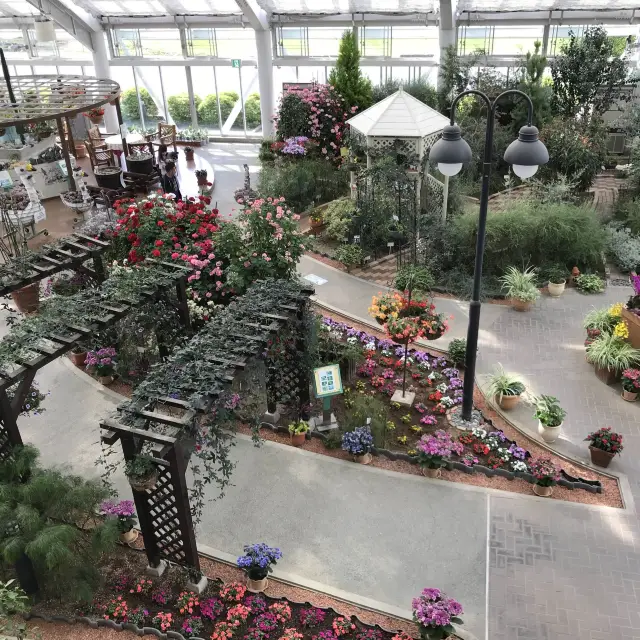 日本富士山腳下的花海寶地——河口湖花之都公園