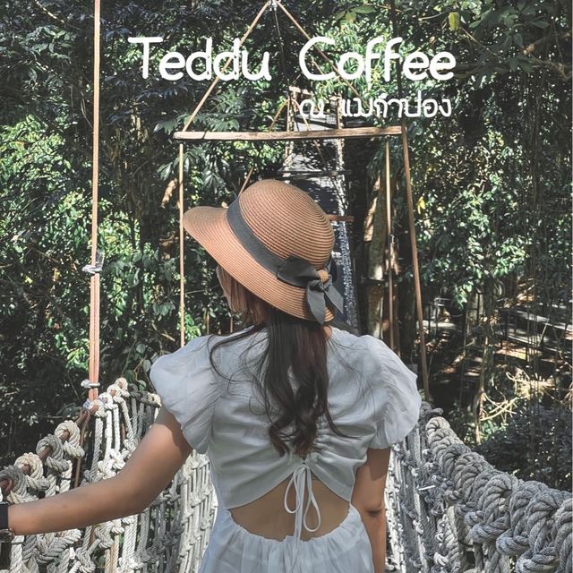 Teddu Coffee คาเฟ่สวยท่ามกลางธรรมชาติ ณ แม่กำปอง