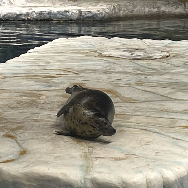 海洋公園：北極之旅