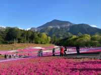 4,5月遊日本必去⭐超靚賞花公園