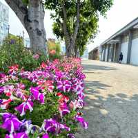 The Pier-2 Art Center มุมถ่ายสุดอาร์ต