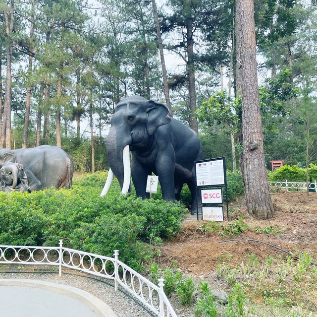 Exploring Baguio’s Botanical Wonders