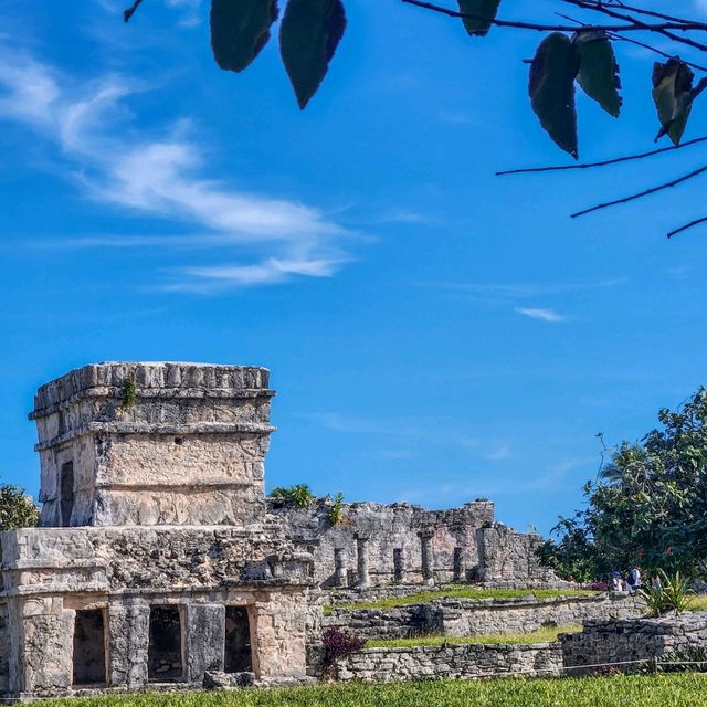 고대 마야문명의 정수 툴룸 Tulum 🇲🇽