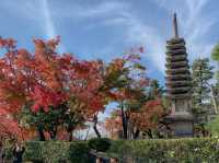 วัดคิโยะมิซุ 清水寺 หรือวัดน้ำใส 🍁⛩️