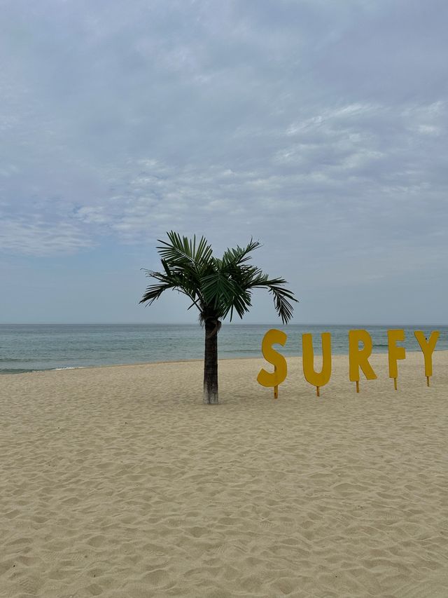 여름에 서퍼들로 붐비는 HOT한🔥곳. 양양 서피비치🏄‍♂️
