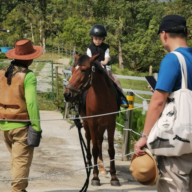Fun Day in Borneo Happy Farm